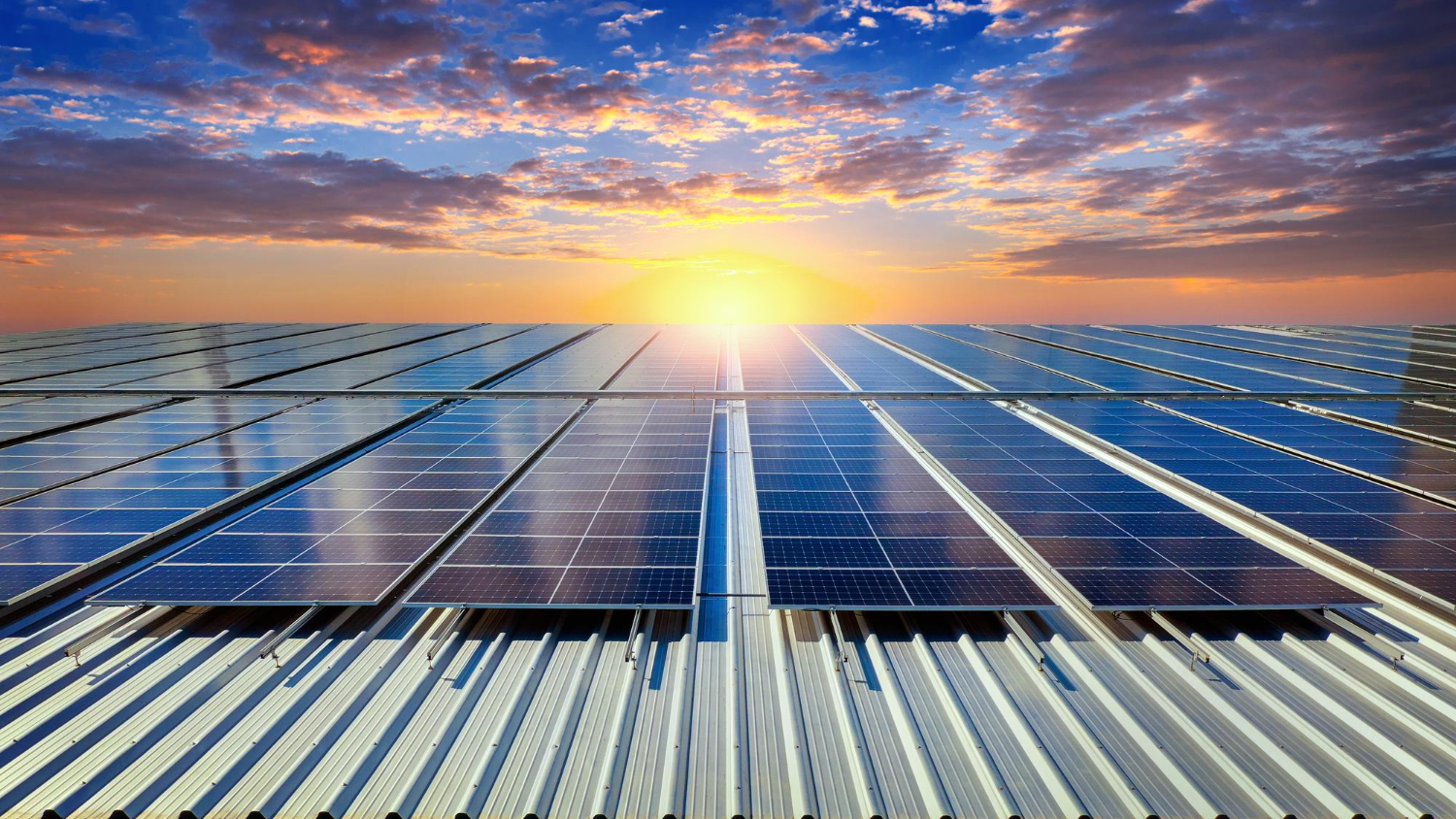 solar company in india