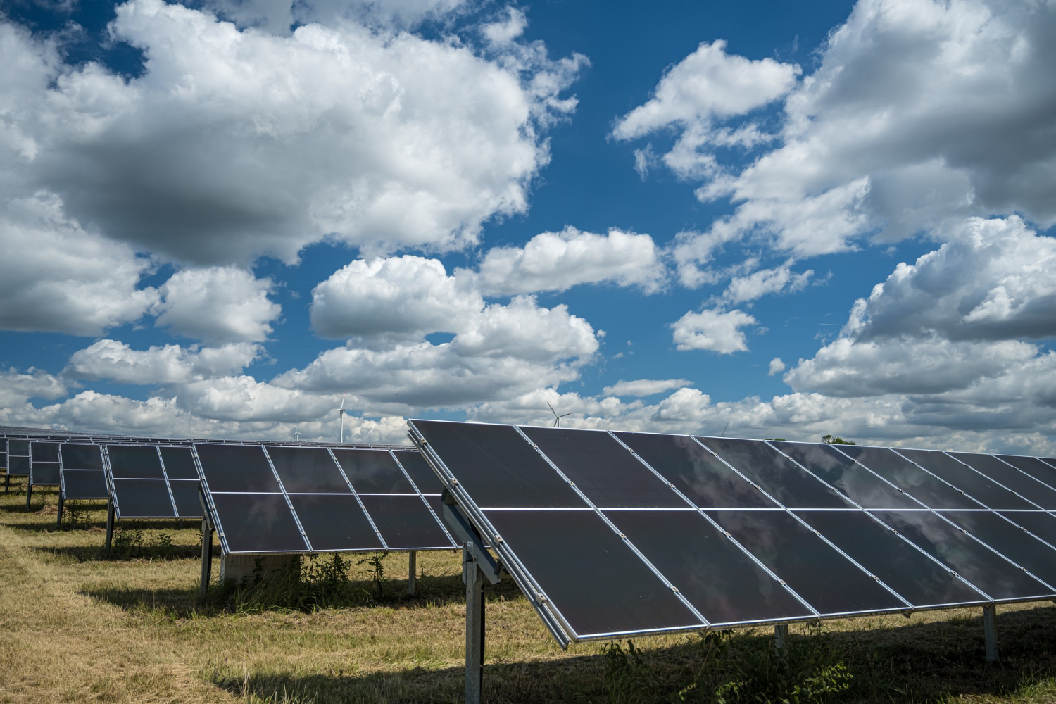 kerala solar companies